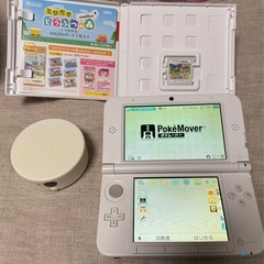 任天堂 3DS LL とびだせ どうぶつの森パック 限定カラー