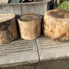 天然　切り株