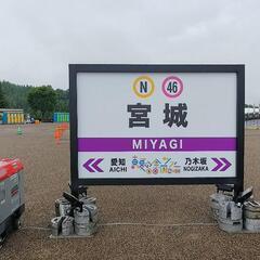 やっぱ乃木坂だなっ！ - 熊本市