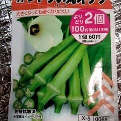 ダイソー丸オクラ種とマリーゴールド種交換希望