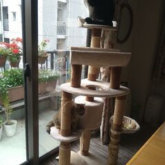 キャットタワー