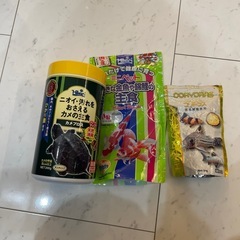 カメ、金魚の餌