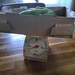皮付き そら豆 600g