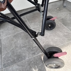 リーマンのバギーの画像