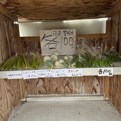 無人販売、新鮮野菜