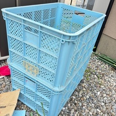 採集コンテナ カゴ