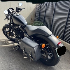 2020年　XL883Nアイアン スポーツスター 低走行3600km 車検付き 空冷 福岡 ハーレーダビッドソンの画像