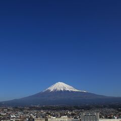 【フリーランス・マイクロ法人向け】記帳代行いたします！