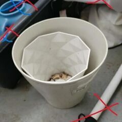 土、プラスチック鉢の画像