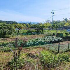 家庭菜園付きの平屋 - 不動産売買（マンション/一戸建て）