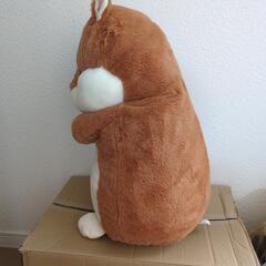 ぬいぐるみの画像