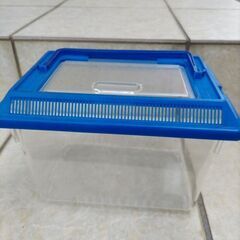 虫かご２個セット（最終値下げ）の画像