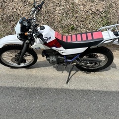 セロー225 セル付き　キック付きの画像