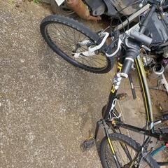 マウンテンバイクですの画像