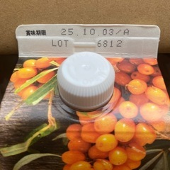 豊潤サジー　1000mlの画像