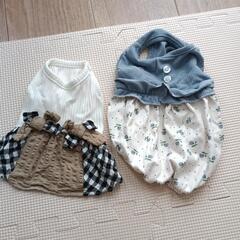 子犬の服