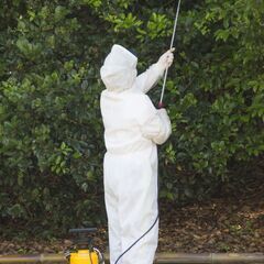蜂駆除、シロアリ駆除、ゴキブリ駆除等の害虫駆除なら【街の便利屋 山科営業所】 - 害虫/害獣駆除