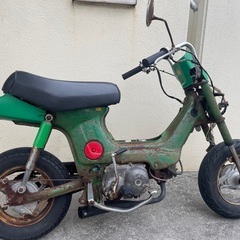 シャリー50