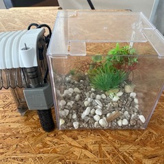 Tetra 水槽セット
