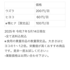 猛禽類🦉爬虫類🐍3種類冷凍餌