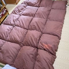 シングルサイズフェザー掛け布団　難あり