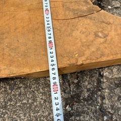 榧　カヤ　かや　製材　原木　一枚板の画像