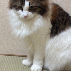 至急。何処でも