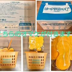 千趣会の月刊ちょこちょこ4つオマケ付き（未使用品）の画像
