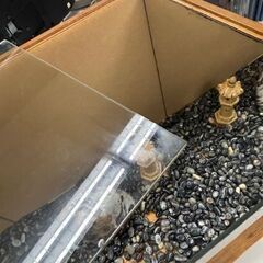 ガラスのケース　人形ケース　観賞用のケース　飼育ケースの画像