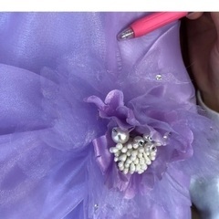 リトルプリンセス  160の画像