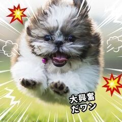 ＼＼ひげ・髪色自由！履歴書無しで面接可能／／経験がなくても…「働...