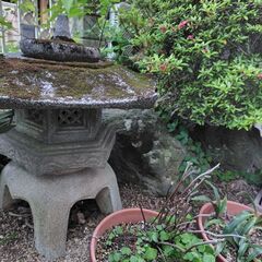 庭石、灯籠