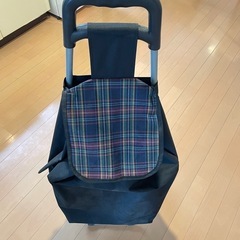 キャリーカート(バッグ)

