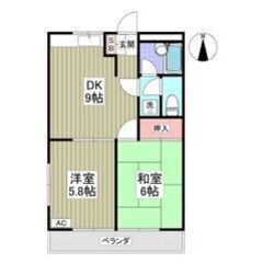 🧡💛フリーレント1ヶ月付き💛🧡ペット相談可🐶🐱地下鉄成増駅徒歩1...
