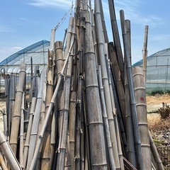 竹墨•竹すみ•滋賀県野洲市-の画像