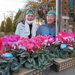 🍀🌈メダカ・昆虫チャリティー販売、社会貢献・地域貢献する為に行ってます🍀🌈 − 神奈川県
