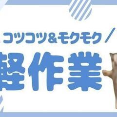【日勤・未経験大歓迎】人気に付き埋まり次第締め切り！簡単組…