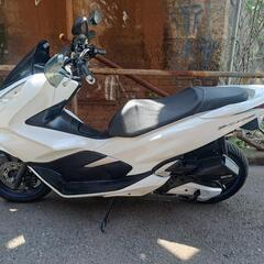 ホンダ　PCX150　 KF30　実働車両　大阪の画像