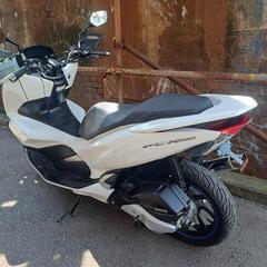 ホンダ　PCX150　 KF30　実働車両　大阪の画像