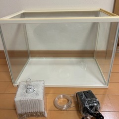 水槽