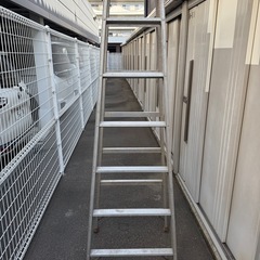 7段の脚立
