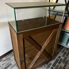 ショーケース
