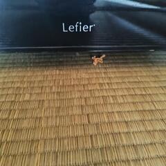 ワインセラー　ルフェーエールの画像