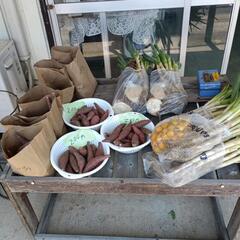 サツマイモ等無人販売