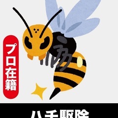 【ハチ駆除】最短即日承ります🐝