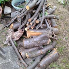 お話中、桜の丸太と枝木差し上げますの画像