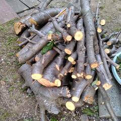 お話中、桜の丸太と枝木差し上げますの画像