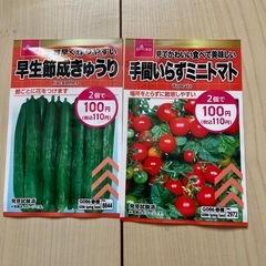 きゅうりとトマトの種