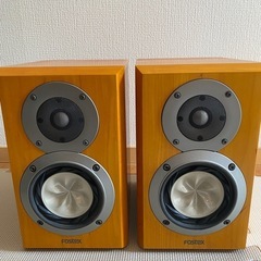 fostex gx100