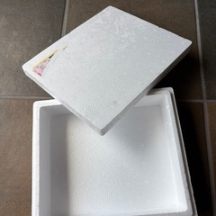冷凍　発泡スチロール